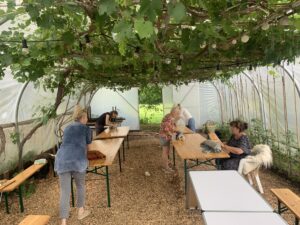 Fibreations | Vilten met ruwe vachten in de Onlanden